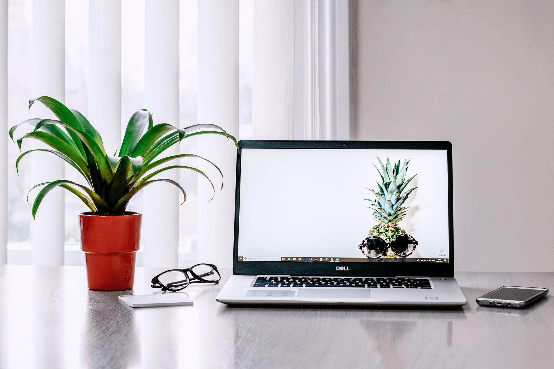 Best Plants for Your Home Office + Focus Tips